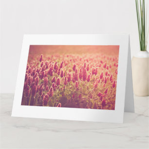 Cartão Crimson Clover Nature Flores Grandes