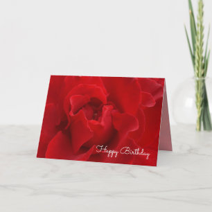 Cartão Crimson Rose Happy Birthday