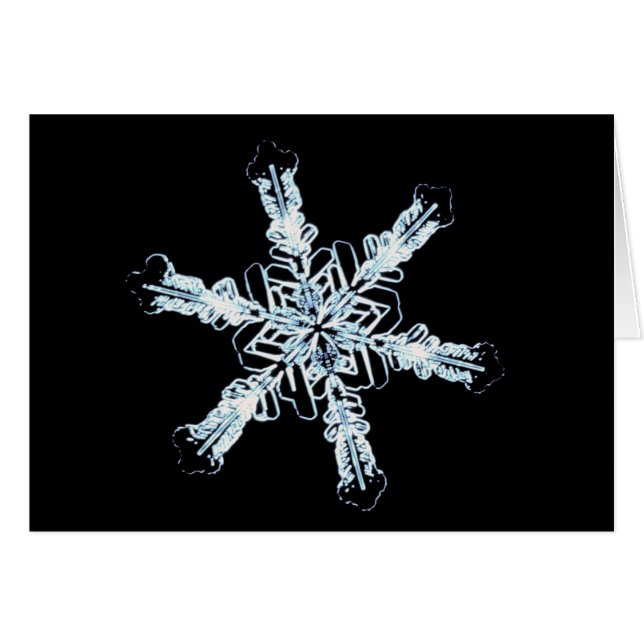 Cartão Cristal estelar da neve (Frente Horizontal)