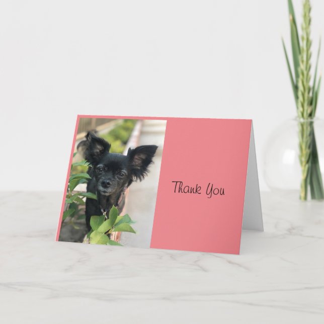 Cartão Critério LV LAGUNA (Frente)