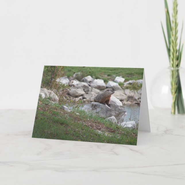 Cartão Critério No Lago (Frente)