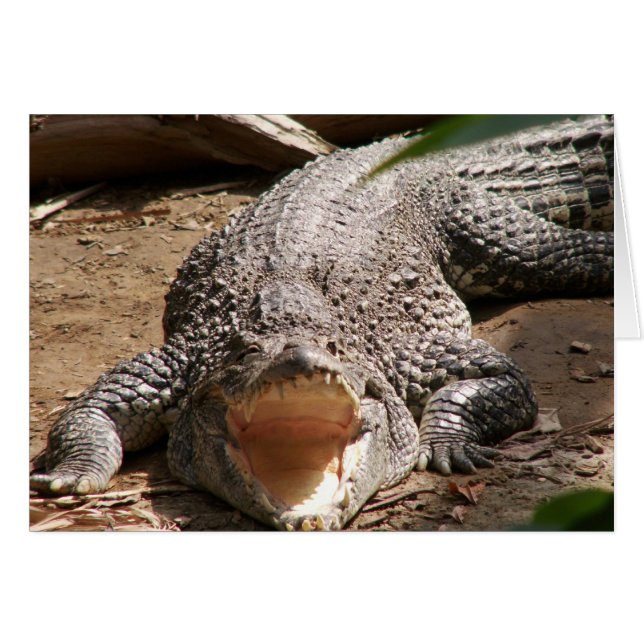 Cartão Croc Smile (Frente Horizontal)