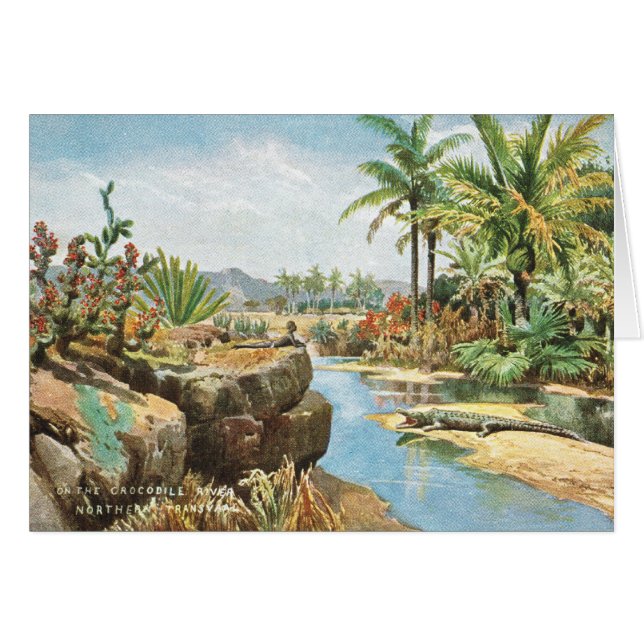 Cartão Crocodile River, África do Sul (Frente Horizontal)
