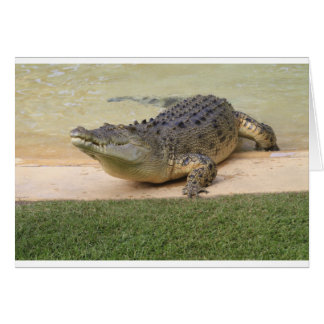 Cartão Crocodilo
