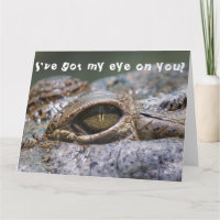 Crocodilo Engraçado Réptil - Estou de Olho em Você