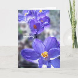 Cartão Crocus Purple Flowers Feliz Aniversário