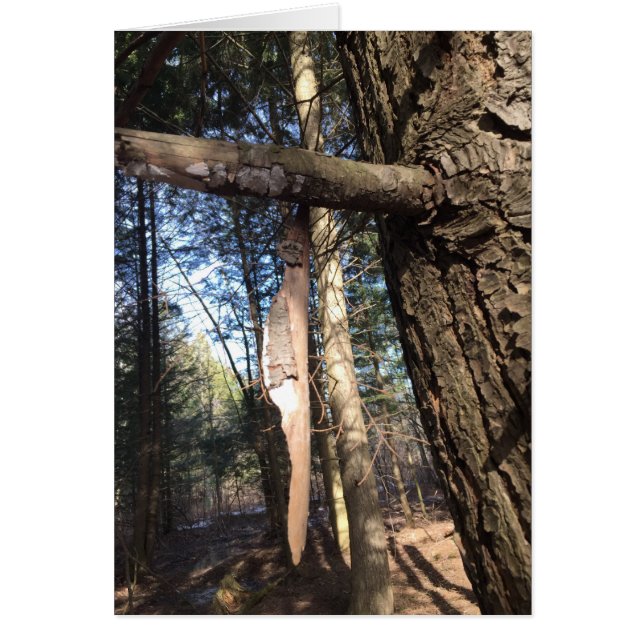 Cartão Cruz de Paz (Frente)