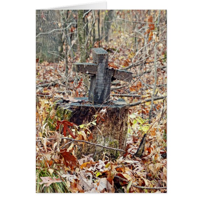 Cartão Cruz na floresta (Frente)