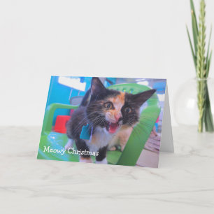 Cartão Crying Kitten