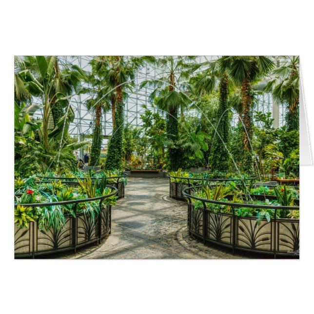 Cartão Crystal Gardens Leap Fountain (Frente horizontal)