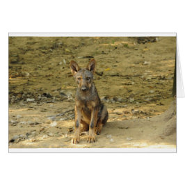 Cartão Cub do Lobo Bonito