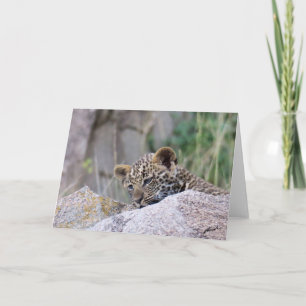 Cartão Cubo Leopardo