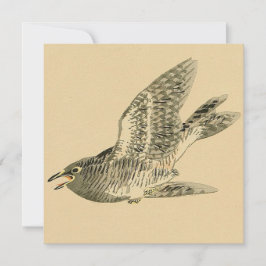 Cartão Cuckoo (Arte Japonesa) (por Kono Bairei)