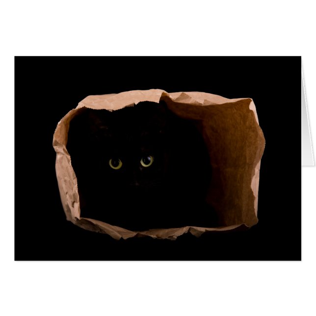 Cartão Cuidado com o Gato de Ataque! (Frente Horizontal)