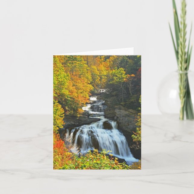 Cartão Cullasaja (Frente)