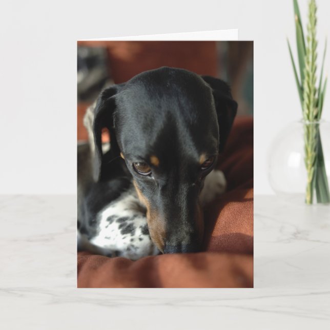 Cartão Culpado (Frente)