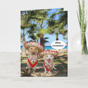 Cartão Cumpleaños de Feliz do ¡!