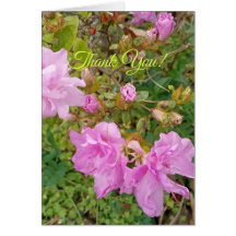 Cumprimento com flores de lavanda em azálea. Obrig