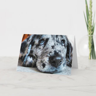 Cartão Cumprimento do olhar do filhote de cachorro