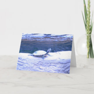 Cartão Cumprimentos amigáveis 1