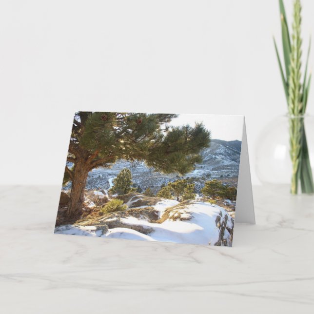 Cartão Cumprimentos de Colorado (Frente)