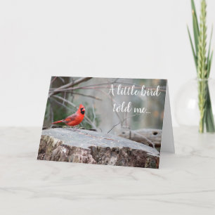 Cartão Cumprimentos do Cardinal Woodland