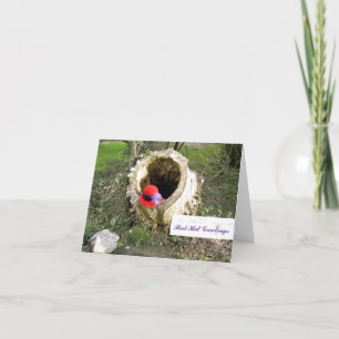 Cartão Cumprimentos Notecard de Red Hat