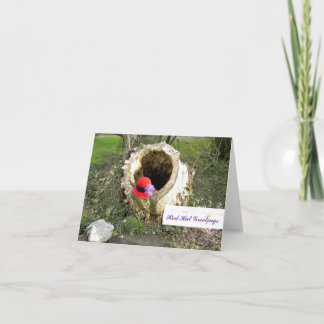 Cartão Cumprimentos Notecard de Red Hat