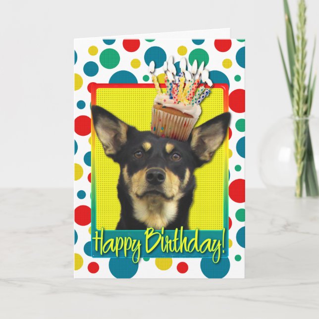 Cartão Cupcake de aniversário - australiano Kelpie - Jude (Frente)