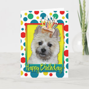 Cartão Cupcake de aniversário - Cairn Terrier - Urso de 