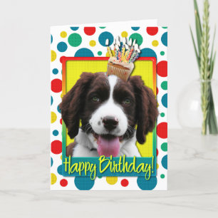 Cartão Cupcake de aniversário - Inglês Springer Spaniel -