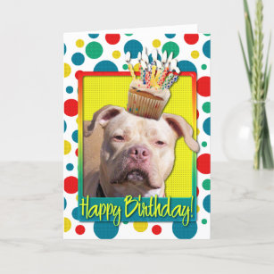 Cartão Cupcake de aniversário - Pitbull - Jersey Girl