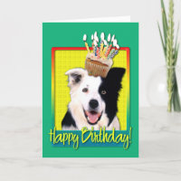 Cupcake do aniversário - border collie