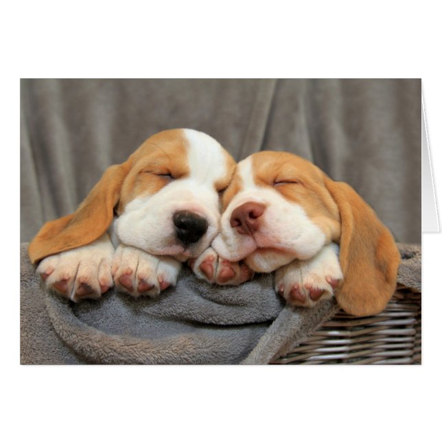 Cartão Cupias Sonolentas (Frente Horizontal)