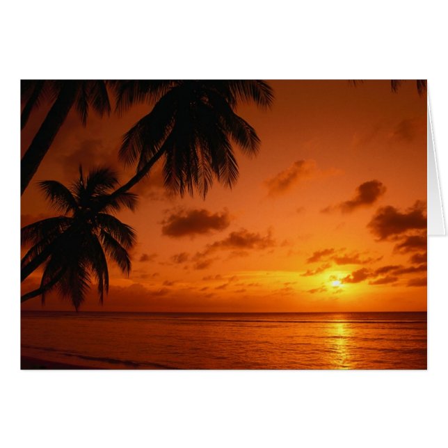 Cartão cura do por do sol (Frente Horizontal)