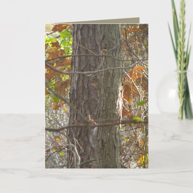 Cartão Curiosidade (Frente)