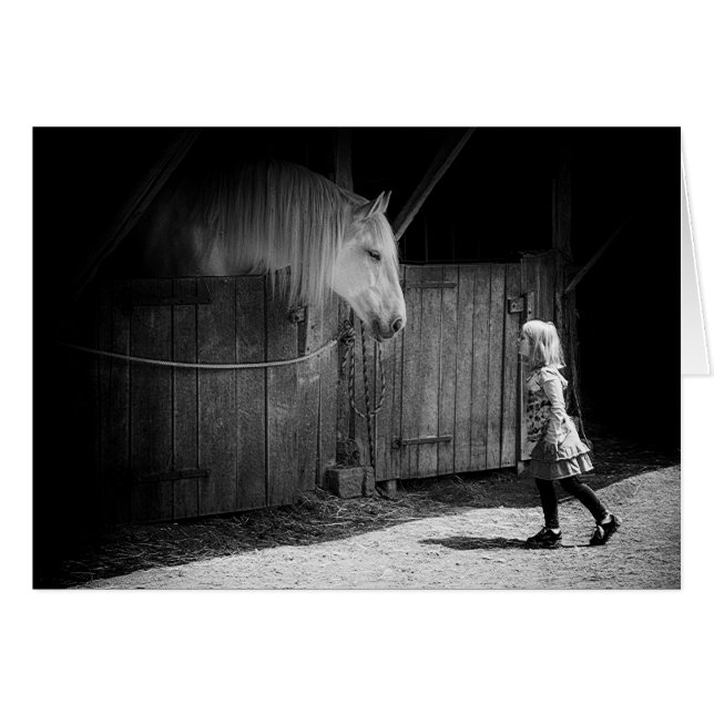 Cartão Curiosidade Mútua (Frente Horizontal)