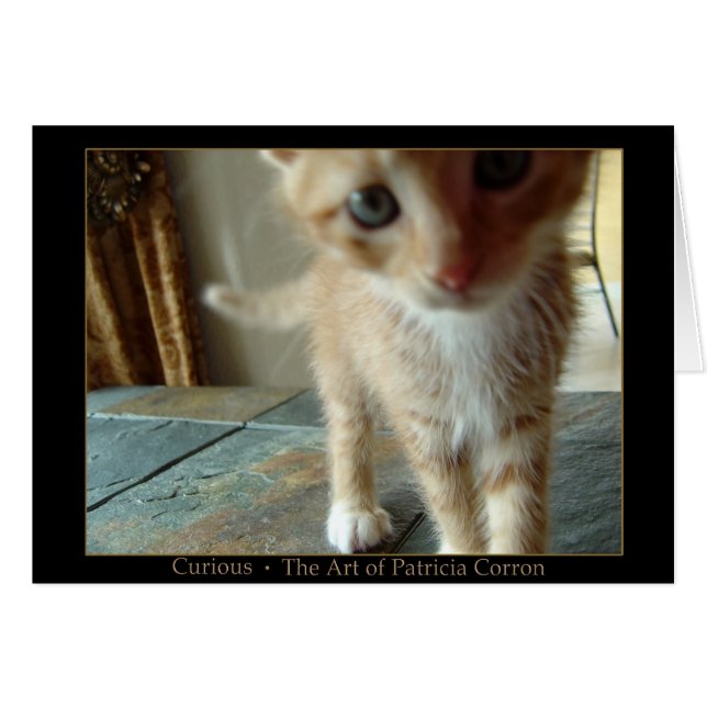 Cartão Curioso (Frente Horizontal)