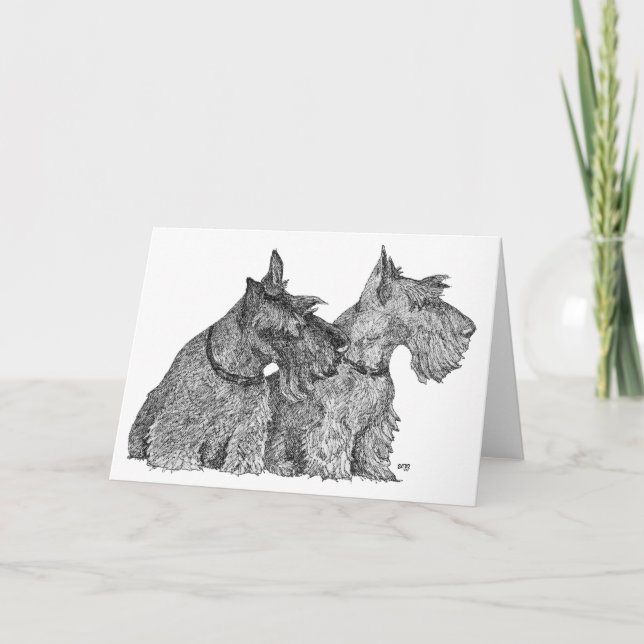 Cartão Curioso Scottish Terriers Caneta & Ink Sketch (Frente)
