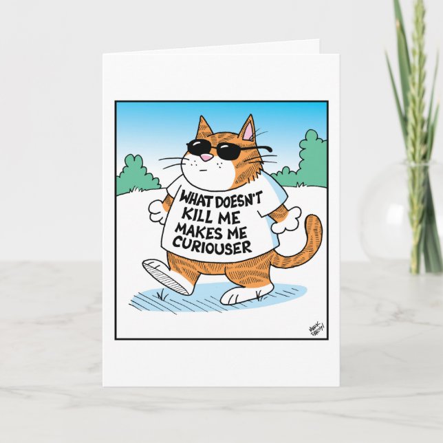 Cartão Curious Cat  (Frente)