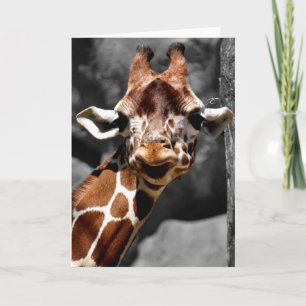 Cartão Curious Giraffe Greeting Card