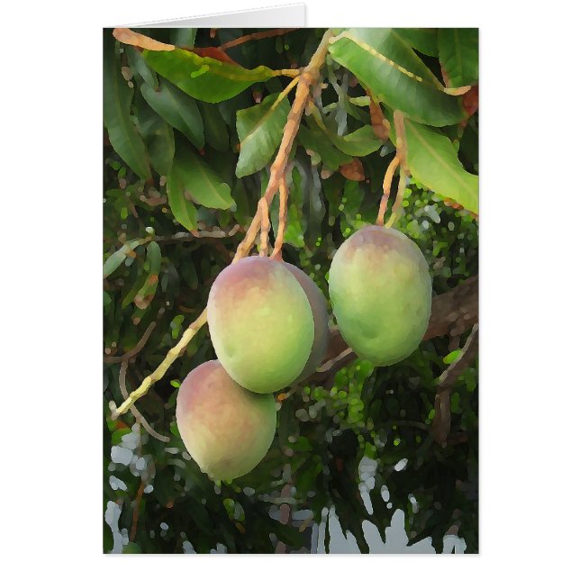 Cartão Curva (Frente)