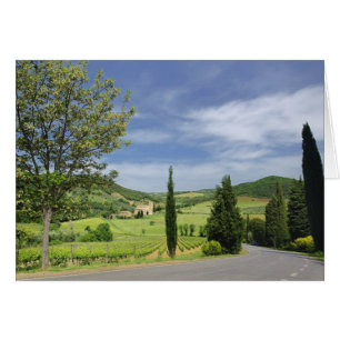 Cartão Curvagem por estrada nacional entre ciprestes