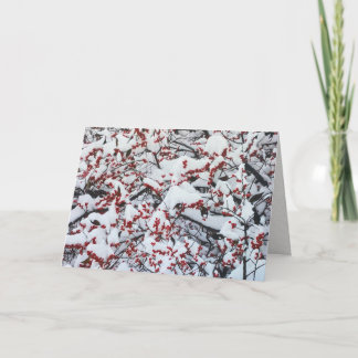 Cartão Custom Business Snow Branches Berries Holiday