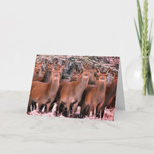 CARTÃO CUSTOM MERRY CHRISTMAS CARD WITH DEER IN SNOW