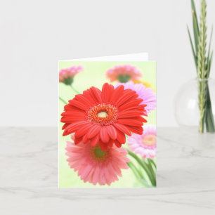 Cartão Customizable Gerber Daisies Card