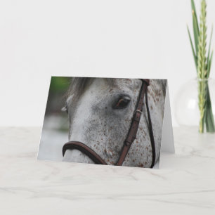 Cartão Cute Appaloosa Horse Greeting Card