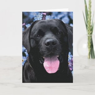 Cartão Cute Black Lab Labrador Retriever Dog