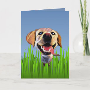 Cartão Cute Cartoon Labrador Retriever Greeting Card