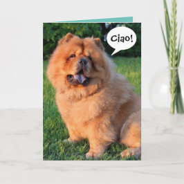 Cartão Cute Chow Chow Dizendo "Ciao!"Cartão de Saudação